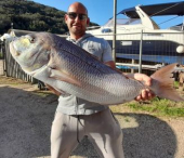 Fotonotizia: pescato un super dentice