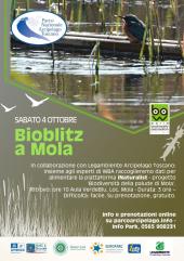 Il 4 ottobre Bioblitz a Mola