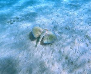 La Foto del Giorno (20 mag.)