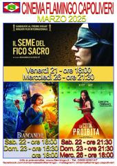 Programmazione del Cinema Flamingo