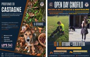 Weekend a 6 zampe con Let's Dog: passeggiata nei castagneti e open day di ricerca persone
