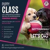 Nuovo corso per cuccioli con Let's Dog asd