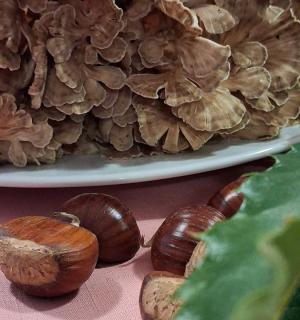 Il C.A.I. e l'Accademia Italiana della Cucina elbana per la “Settimana delle Castagne” di Marciana e Poggio