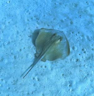 La Foto del Giorno (17 sett.)