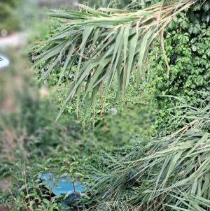 Un elemento di degrado ambientale a Chiessi