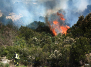 Anche Capoliveri è parte del progetto Fireweb per la prevenzione degli incendi boschivi
