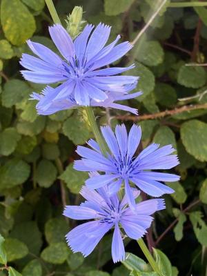 La Foto del Giorno (13 giu.)