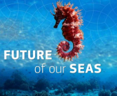 Approvate nuove misure internazionali di protezione aree marine, si avvicina anche la nostra AMP