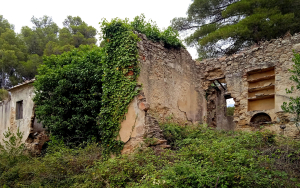 Ferruzzi: le &quot;case dei Lombardi&quot; un brano di storia minuta dell&#039;Elba che emerge dalla macchia