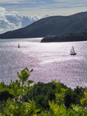 La Foto del Giorno (29 ott.)