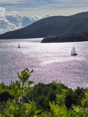 La Foto del Giorno (29 ott.)