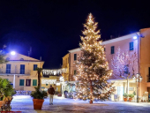 L'8 dicembre a Capoliveri l'accensione dell'albero di Natale con rugbyforlife onlus