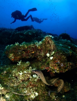 A.M.P. all'Elba e Tutela del Mare. Punti di Vista