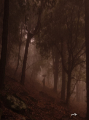 &quot;Inverno&quot; - La Foto della Settimana è di Puffo Fotografo