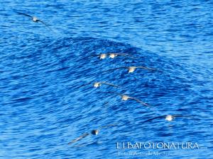 La Foto del Giorno (16 apr.)