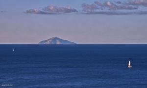 La Foto del Giorno (23 lug.)