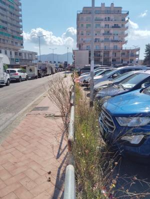 Bene la gestione del traffico, ma il degrado al porto rovina l’immagine dell’isola