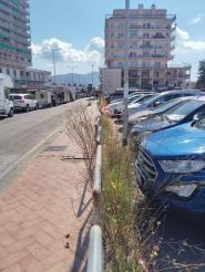 Bene la gestione del traffico, ma il degrado al porto rovina l’immagine dell’isola