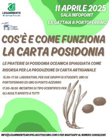 Posidonia spiaggiata: dal mare alla carta