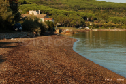 Ultimo appuntamento estivo per Italia Nostra Arcipelago Toscano, passeggiata alle Prade