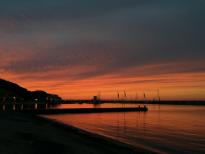 La Foto del Giorno (5 mag.)