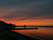 La Foto del Giorno (5 mag.)