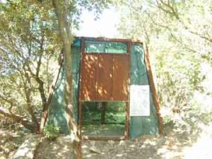 Yuri Tiberto: una proposta operativa sulla questione dei cinghiali