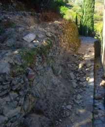 Un altro "capolavoro" devastatorio degli innominabili suini