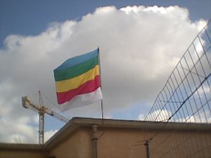 Canile e scetticismo d'obbligo