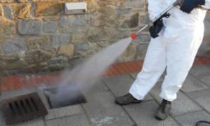 Nella notte tra il 21 ed il 22 maggio disinfestazione da blatte nel centro storico di Portoferraio