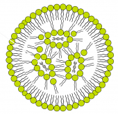 Marco Sartore: l'incredibile mole di "saperi" acquisiti dalla scienza contrastando il Covid