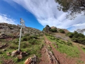 Another Elba tours, un altro modo di passare la domenica