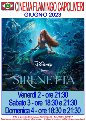 Al Cinema Teatro Flamingo "La Sirenetta"