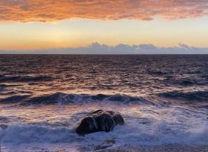 La Foto del Giorno (19 nov.)