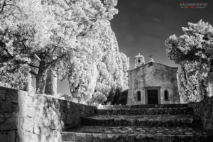 La Foto del Giorno (27 feb.)