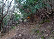 I volontari di Legambiente al lavoro per ripristinare il sentiero di Valdicappone