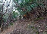 I volontari di Legambiente al lavoro per ripristinare il sentiero di Valdicappone