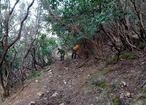 I volontari di Legambiente al lavoro per ripristinare il sentiero di Valdicappone