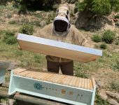 Biodiversità, presentato il progetto che unisce WBA e Fondazione Acqua dell’Elba. Popolate le arnie top bar e predisposte 10 domus mellifera