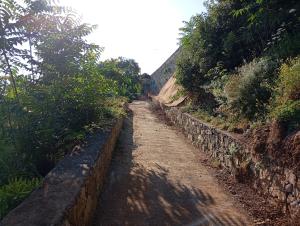 In fase di conclusione i lavori di messa in sicurezza della strada della spiaggia delle Viste