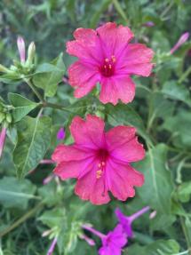 La Foto del Giorno (29 ago.)