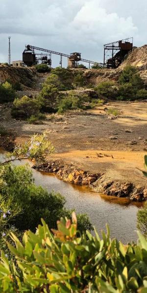 La Foto del Giorno (26 gen.)