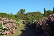 Anche alla Villa romana delle Grotte un angolo privato riservato all'allattamento
