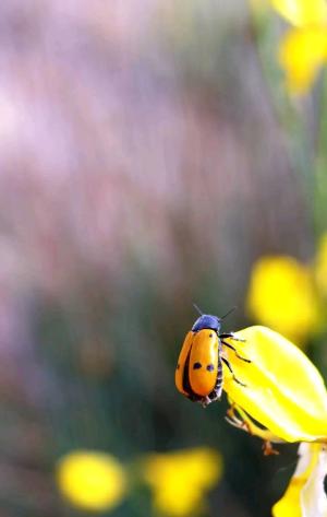 La Foto del Giorno (2 feb.)