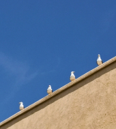 La Foto del Giorno (3 giu.)