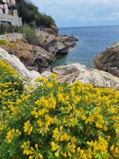 La Foto del Giorno (3 apr.)