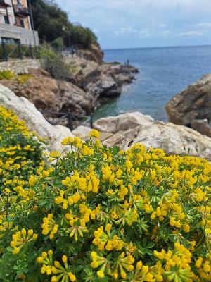 La Foto del Giorno (3 apr.)