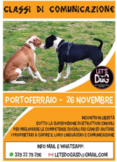 Ripartono le classi di comunicazione e socializzazione per cani con Let's Dog