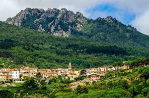 Attivo da oggi il servizio sostitutivo comunale bus tra Sant'Ilario, San Piero e Marina di Campo