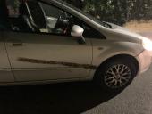 Campo: ancora un sinistro stradale causato da un cinghiale